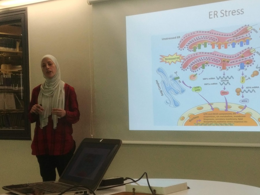 Neubauer feloows lecture